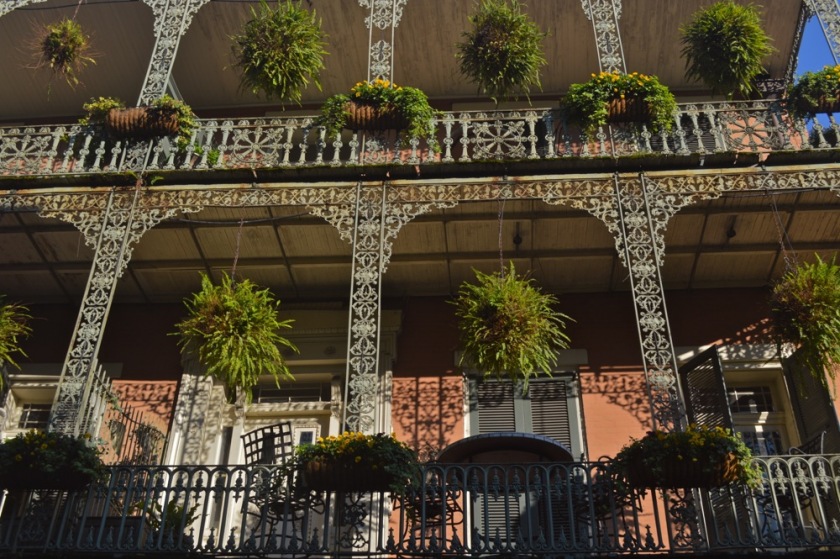 Nola06.jpg