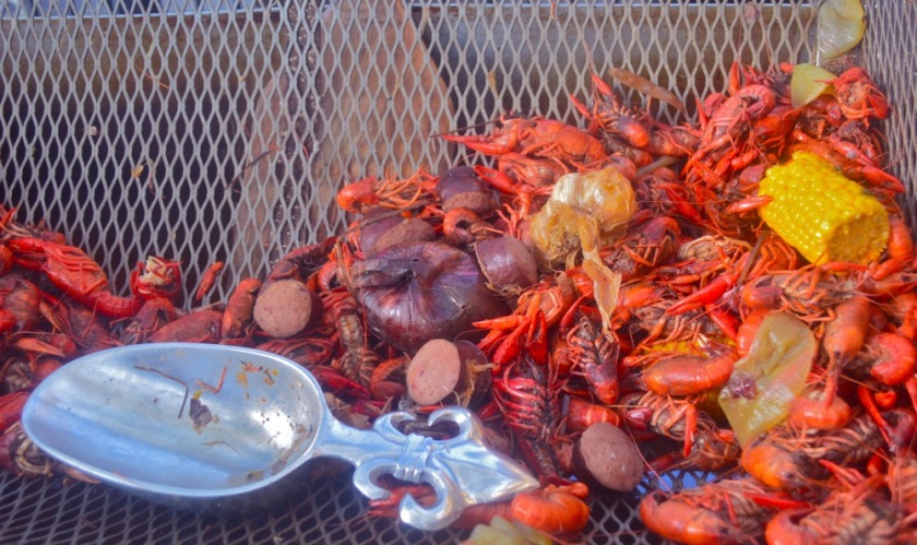 Nola13.jpg