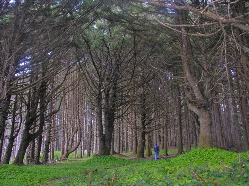 DSCN7735.jpg