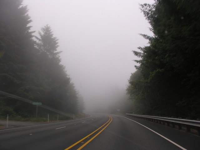 DSCN8080.jpg