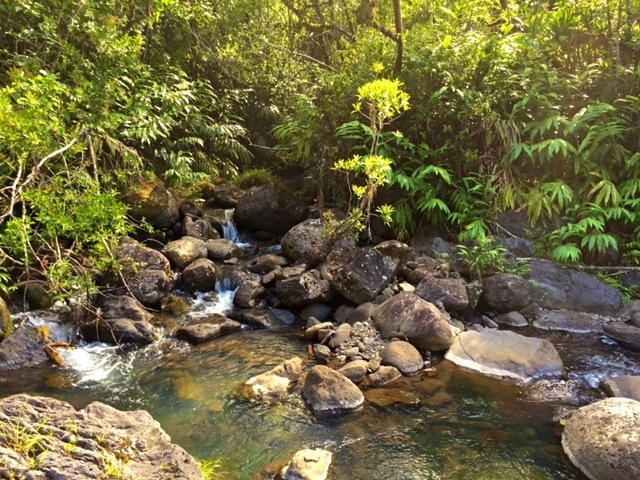grotto8